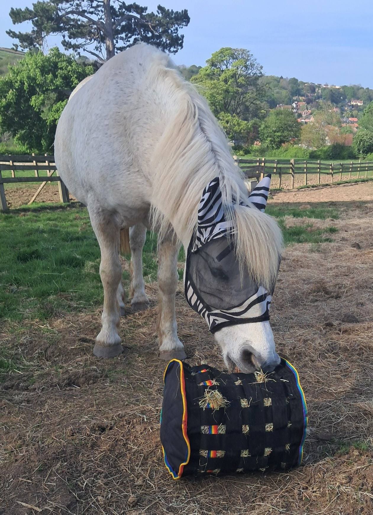 Rolling Slow-Feed Hay Bag