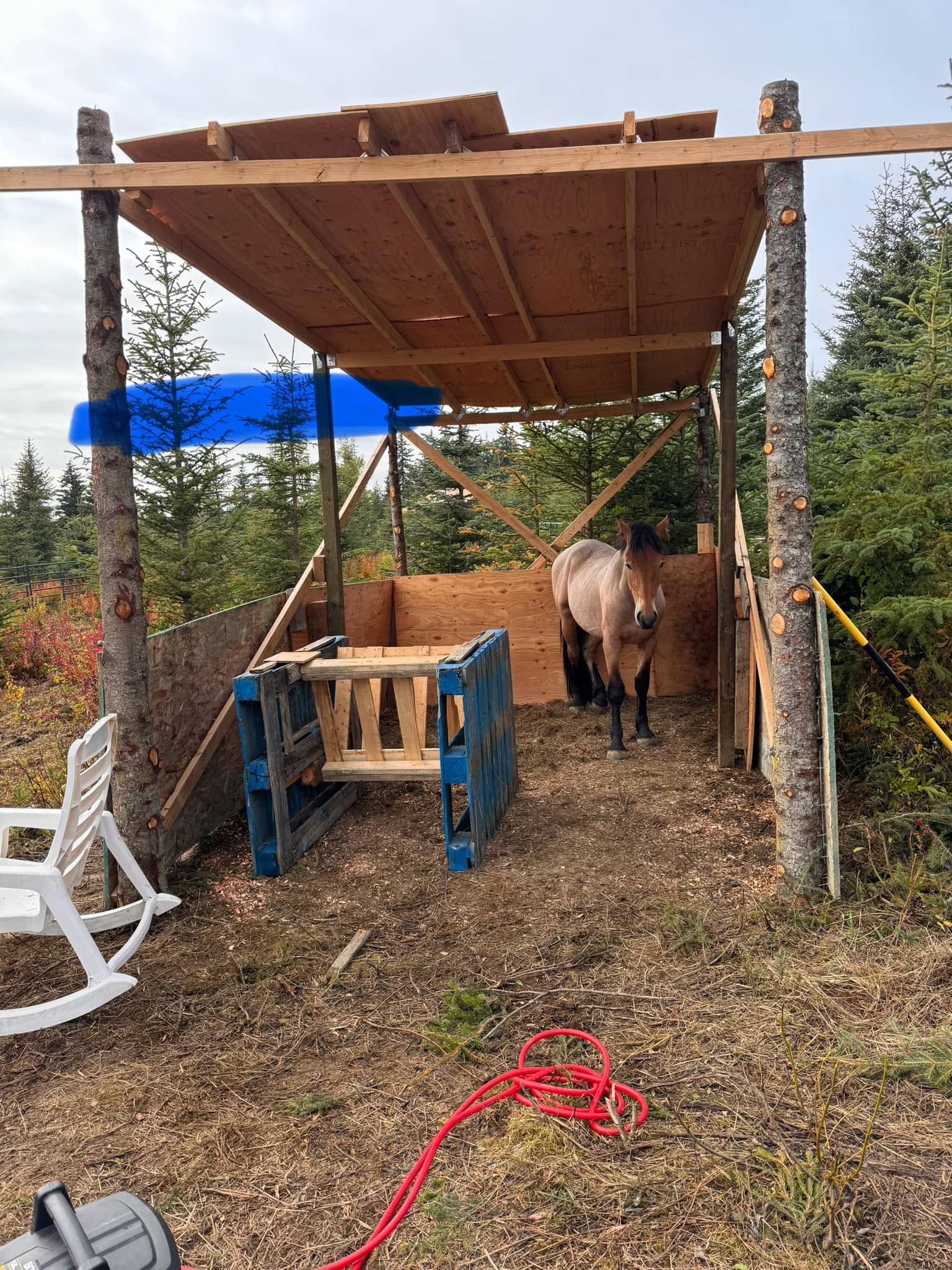 Rustic Log and Pallet Shelter