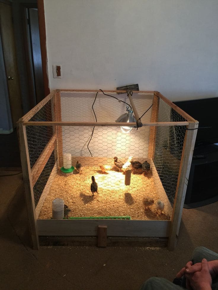 Simple Indoor Wood Frame Brooder