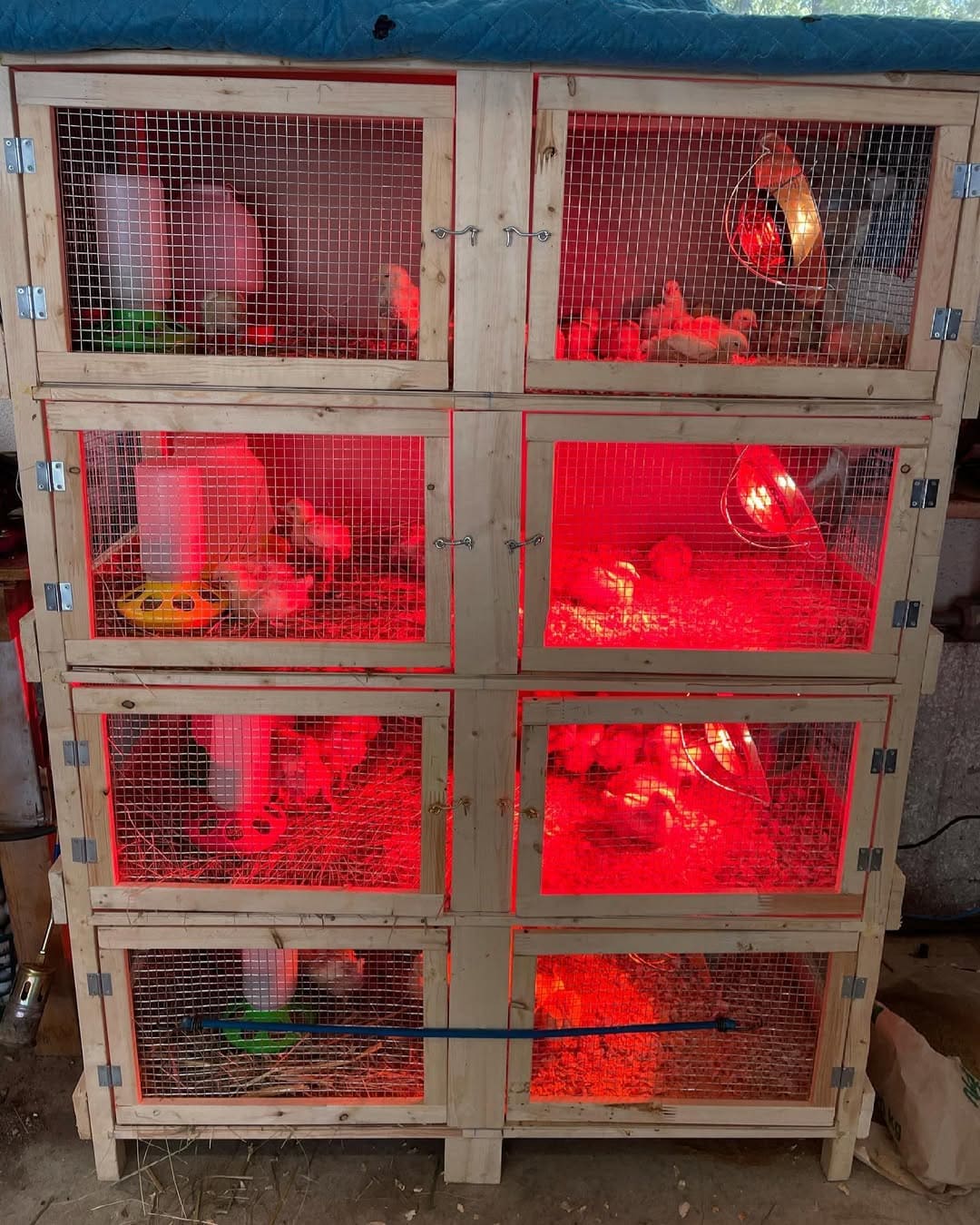 Stacked Multi-Level Brooder Cabinet