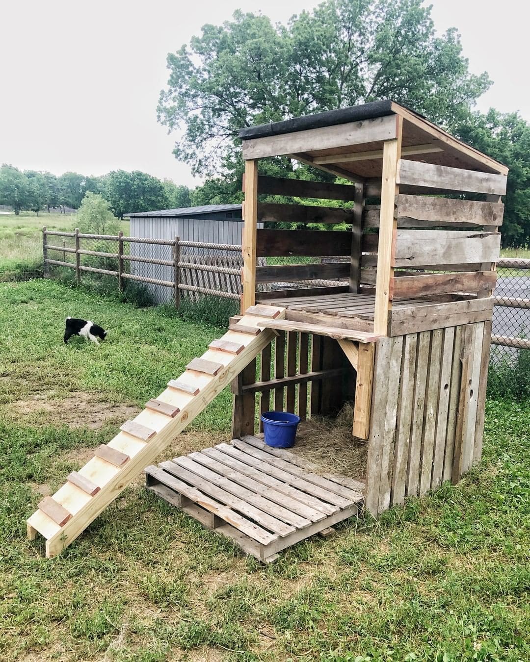 Two-Level Pallet Goat Shelter and Playhouse