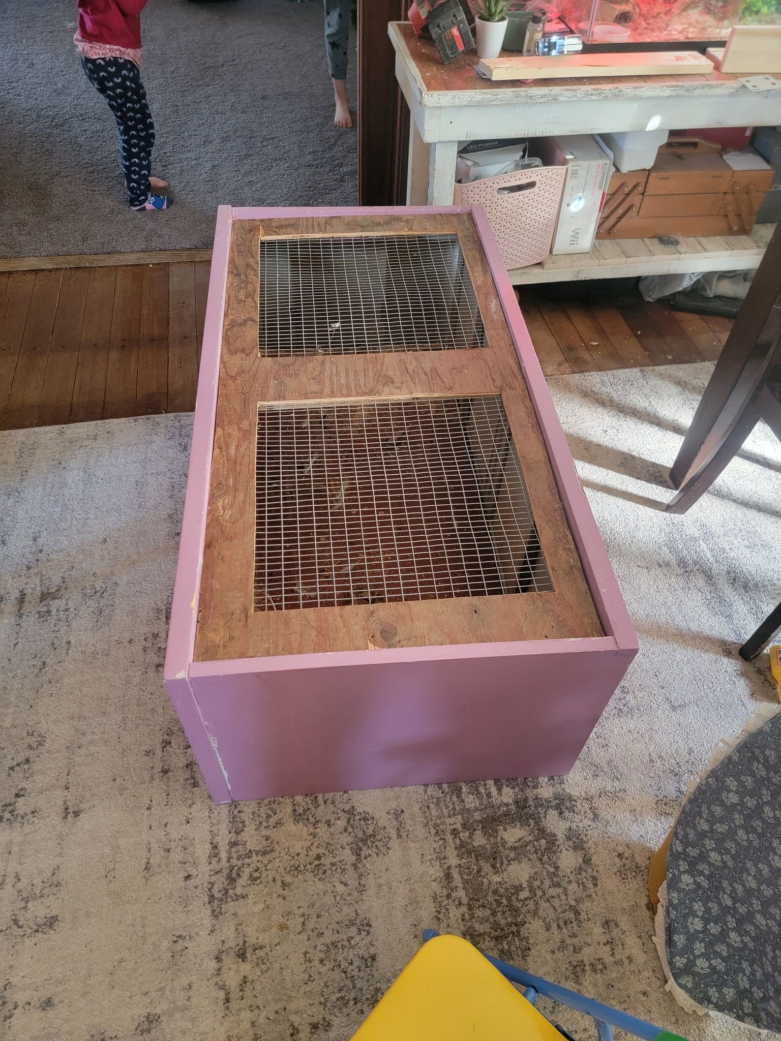 Upcycled Wooden Box Brooder