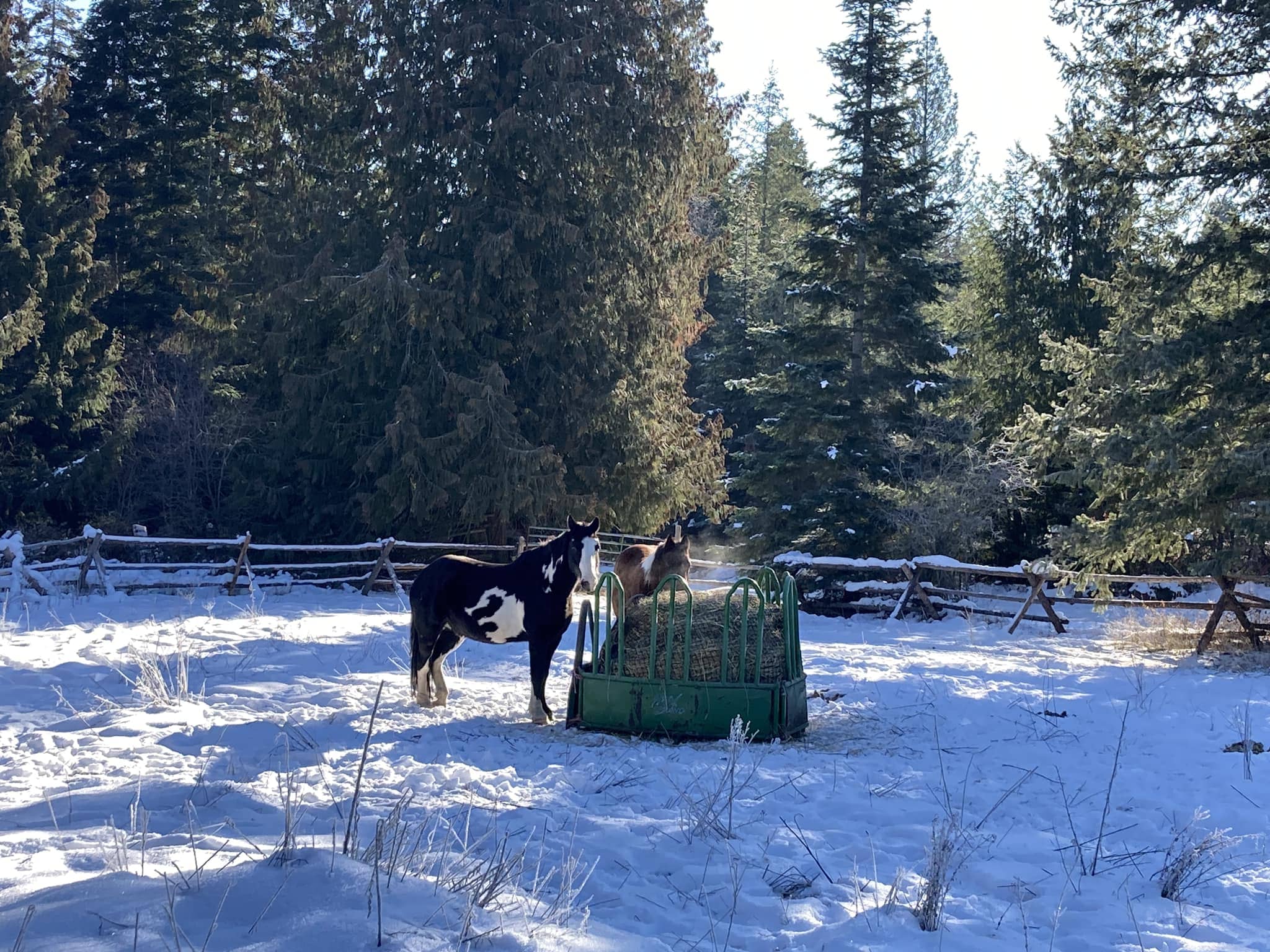 Winter-Proof Metal Hay Feeder