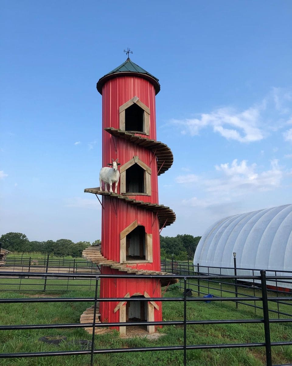 Multi-Level Goat Tower