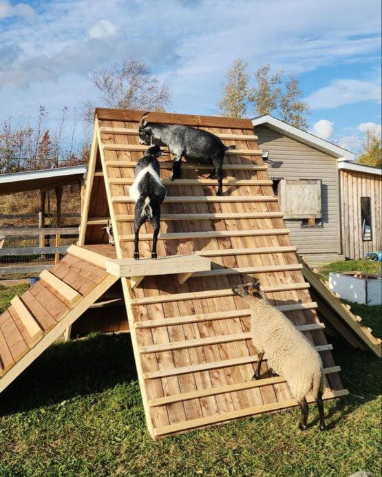 Wooden Climbing Pyramid