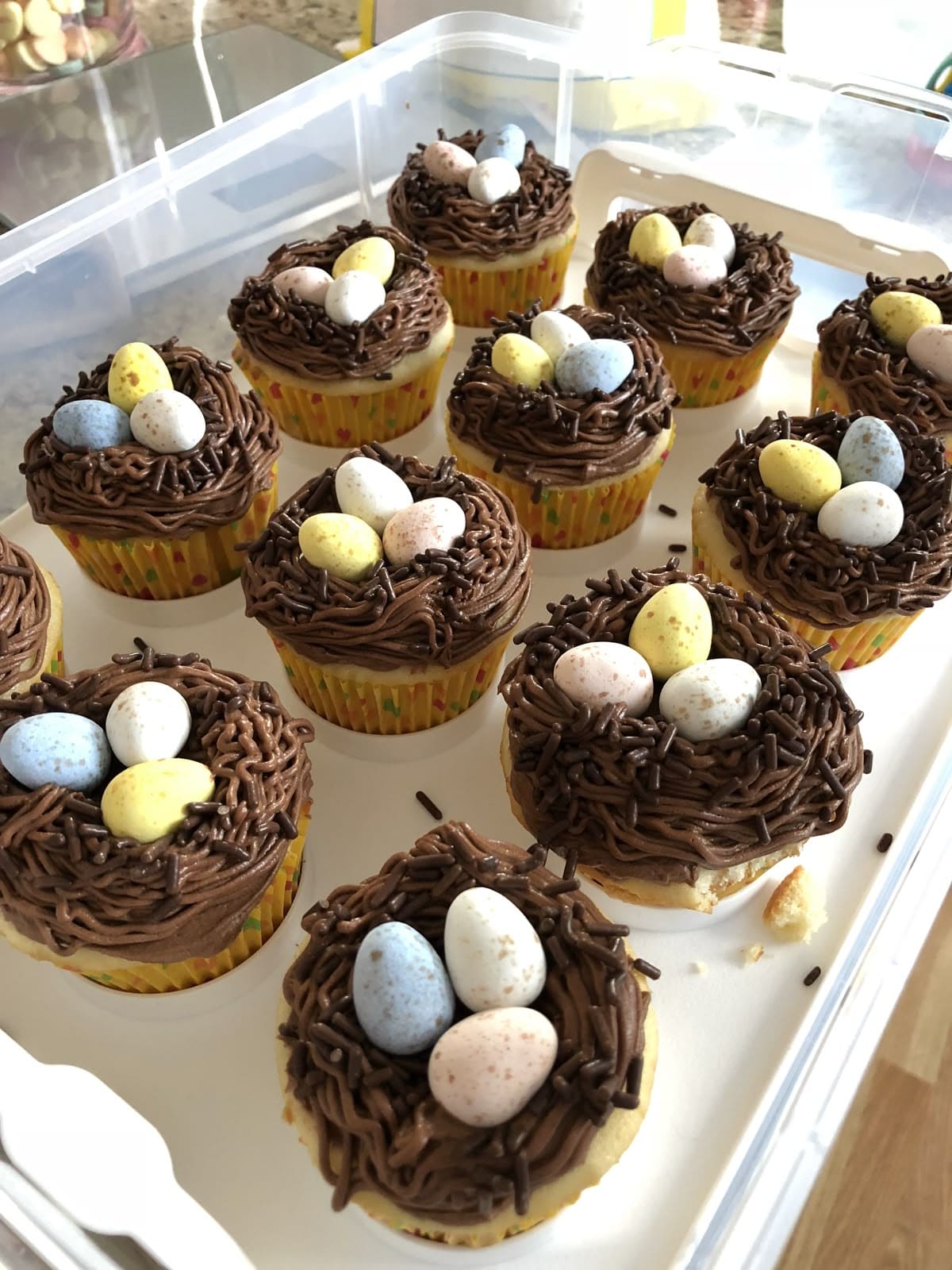 Chocolate Nest Easter Cupcakes