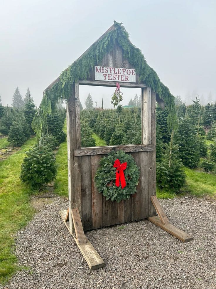 Rustic Christmas Mistletoe Kissing Booth